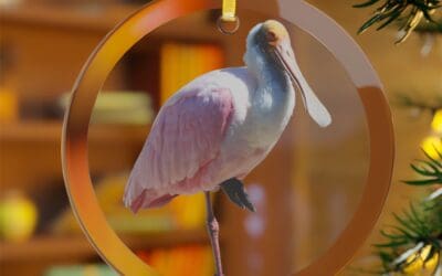 Roseate Spoonbill Glass Ornament